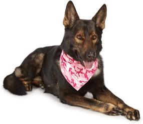 img 1 attached to Aria Camo Bandanas Dogs Pink