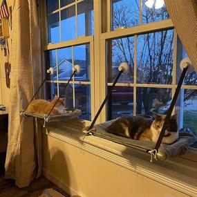 img 3 attached to 🐱 ZHBWOW Cat Window Hammock Seat: Large Cats Window Perch with Suction Cups, Hanging Window Sill Cat Perch, Includes Free Fleece Blanket and Toy