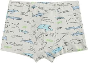 img 3 attached to 🩲 Durable Durio Briefs: Stylish Dinosaur Toddler Underwear for Boys