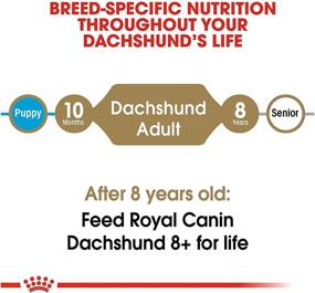 img 1 attached to 🐕 10lb Bag of Royal Canin Dachshund Adult Breed-Specific Dry Dog Food: Enhanced for Optimal Dachshund Health