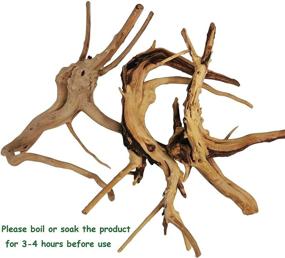img 3 attached to PINVNBY Aquarium Driftwood Terrarium Decoration