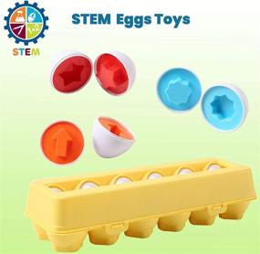 img 1 attached to 🥚 Игрушка "Dimple Fun Egg Matching Toy": Пасхальные яйца для малышей - развивает навыки распознавания форм и сортировки цветов с помощью этой образовательной игрушки Монтессори - идеальный набор пазлов в форме яиц для мальчиков и девочек.