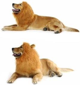 img 1 attached to Light Brown Adjustable Dog Lion Mane Wig with Ears - Comfortable and Funny Pet Costume for Halloween and Christmas Party