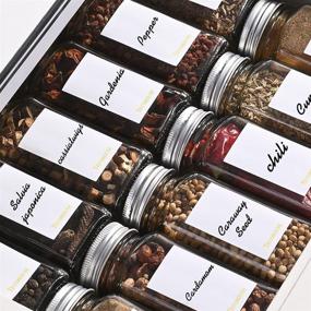 img 2 attached to 🌶️ Tecohouse Glass Spice Jars - Pack of Premium Quality