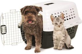 img 3 attached to 🚪 Petmate Compass Plastic Pet Kennel featuring a Sleek Chrome Door