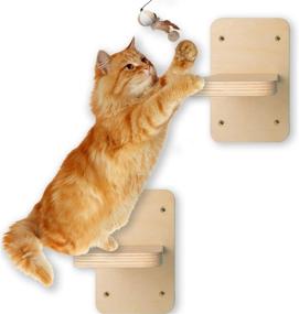 img 4 attached to Shelves Cat Shelves DIY Ladder Cat Convenient Platform Easy