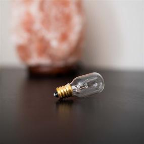 img 3 attached to Himalayan Dimmable Salt Light Bulbs