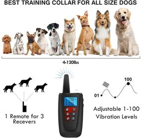 img 1 attached to 🐶 Paipaitek Dog Training Collar: 3300ft Range, No Shock, Waterproof, Sound and Vibration, Remote Control