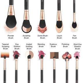 img 3 attached to 💄 OMANIAC Professional Makeup Brushes Set (12Pcs) - Pearl Flash Handles & Easy-to-Use Design: Perfect for Eyeshadow, Blush, and Full Face Makeup Application with Bonus Makeup Brushes Holder