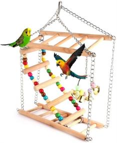 img 4 attached to 🪜 Premium Wooden Suspension Bridge for Bird Parakeet, Budgie, Cockatiel, and more: Pet Hanging Ladder, Steps, Stairs, Swing, and Double-Layer Climbing Toy for Parrot Hammock Cage.