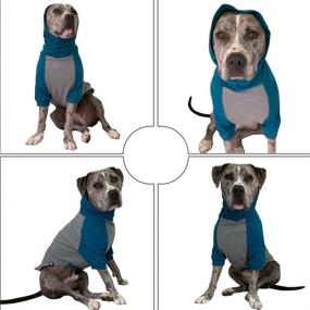 img 1 attached to 🐶 Tooth &amp; Honey Large Dog Sweater - Pitbull/Large/Medium/X Large - Teal &amp; Grey Color - Dog Sweatshirt