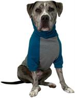 🐶 tooth &amp; honey large dog sweater - pitbull/large/medium/x large - teal &amp; grey color - dog sweatshirt logo