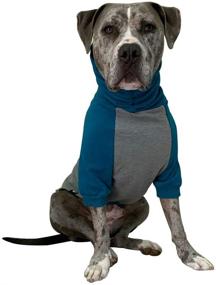 img 4 attached to 🐶 Tooth &amp; Honey Large Dog Sweater - Pitbull/Large/Medium/X Large - Teal &amp; Grey Color - Dog Sweatshirt