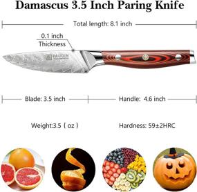 img 2 attached to 🔪 PAUDIN Damascus Paring Knife 3.5 Inch - Professional Chef's Knife with Full Tang Ergonomic G10 Handle and Ultra Sharp VG10 Stainless Steel Blade