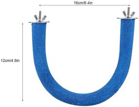 img 3 attached to Fdit Parrot Деревянная шлифовка с грубой поверхностью