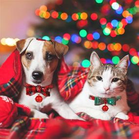 img 1 attached to 🎄 Christmas Cat Collar Set: 4 Adjustable Safety Collars with Bow Tie, Bell, Snowflake Plaid, and Flower - Perfect Holiday Accessories for Small Animals