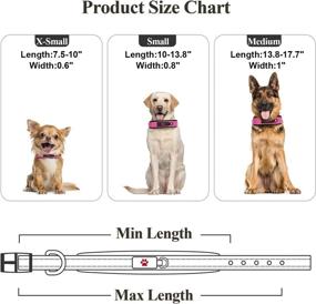 img 3 attached to Enhanced Visibility Reflective Dog Collars with Neoprene Padding, Durable Nylon Cat Collar: Ideal for Small and Medium Pets