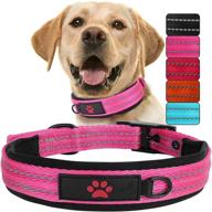 enhanced visibility reflective dog collars with neoprene padding, durable nylon cat collar: ideal for small and medium pets logo