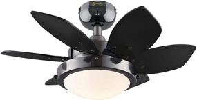 img 4 attached to 💡 Westinghouse Lighting 7224600 Quince Ceiling Fan with Light, 24 Inch: Stylish Gun Metal Finish for Enhanced Indoor Décor