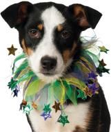 give your pet a stylish makeover with rubies fancy mardi gras stars pet collar logo