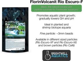 img 1 attached to 🦐 FlorinVolcanit Rio Escuro-F: Premium Black Volcanic Ash Substrate for Freshwater Shrimp by Brightwell Aquatics