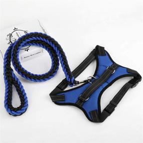 img 1 attached to 🐾 Premium Quality Durable Pet Training Leash: Heavy Duty Nylon Walking Lead with P Chain Collar - Ideal for Large and Medium Dogs - Includes Leash, Collar, and Harness