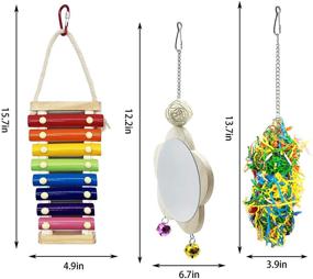 img 3 attached to 🐔 EBaokuup 3-Piece Chicken Toy Set: Xylophone, Mirror with Bell, and Foraging Shredder Toys for Hens - Suspensible Wood Xylophone with 8 Metal Keys for Chicks, Hens, Parrots, and Birds