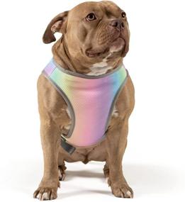 img 3 attached to 🌈 Stay Cool in Style: Canada Pooch Chill Seeker Dog Cooling Vest - Rainbow, Size 20