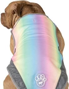 img 2 attached to 🌈 Stay Cool in Style: Canada Pooch Chill Seeker Dog Cooling Vest - Rainbow, Size 20
