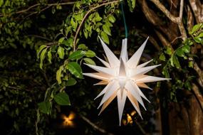 img 1 attached to 🌟 Elf Logic - 14-Inch Moravian Star - Easy Assembly, Enhanced Design - Stunningly Bright White 3D Lit Christmas Star or Tree Topper - Advent Star, Bethlehem Star (14 Inch, LED)