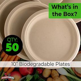 img 3 attached to 🌿 Premium, Eco-Friendly 10 Inch Plates. Value Pack of 50: Ideal Choice for Lunch, Dinner Parties, and Potlucks. Disposable, Compostable Wheatstraw Paper Alternative. Durable, Liquid-Resistant, and Microwave-Friendly