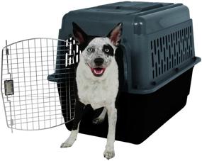 img 1 attached to 🐾 ASPEN PET Pet Porter Dog Kennel: Discover Optimal Sizes for Your Furry Friend