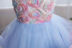 img 1 attached to 👸 Princess Wedding Girls' Clothing with Super Fairy Ruffles