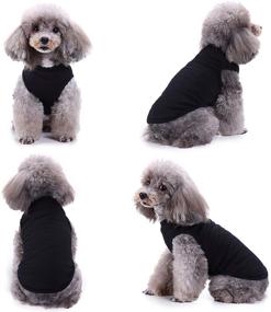 img 3 attached to CAISANG Dog Shirts: Stylish and Comfortable Clothing for Small Dogs, Medium Dogs, and Kitty Cats - Perfect Summer Wear!