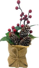 img 1 attached to 🎄 Pair of Potted Christmas Floral Table Top Arrangements - 10&#34; H with Pinecones, Berries, Greenery, and Burlap Covered Bases