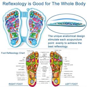 img 3 attached to FENGO Acupressure Foot Massager: Relieve Foot & Heel Pain, Soothe Plantar Fasciitis, Arthritis, Neuropathy, & More with Reflexology. Best Relaxation Gift for Men & Women.