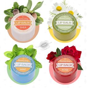 img 2 attached to 💧 Deeply Moisturizing Hand Cream and Lip Balm Set by Eleanore's Diary - 8 pcs Hand Creams & 4 pcs Lip Balms. Ideal Travel Size Care Cream for Dry Lips Repair. Perfect Valentine's Day, Christmas, and Birthday Gifts.