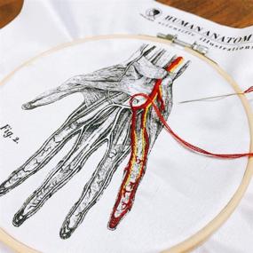img 1 attached to 🧬 Embroider Your Own Blood Vessel Masterpiece with Mr. Sci Science Factory DIY Kit: Embroidery Cloth, Patterns, Hoop, Color Threads, and Tools