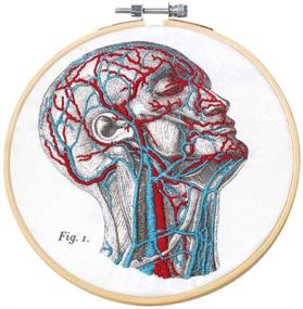 img 4 attached to 🧬 Embroider Your Own Blood Vessel Masterpiece with Mr. Sci Science Factory DIY Kit: Embroidery Cloth, Patterns, Hoop, Color Threads, and Tools