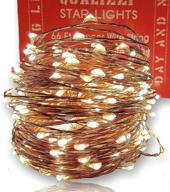 💡 66 ft copper wire led string lights with remote - white logo