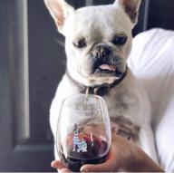 drinking divas pardon my frenchie wine glass - stemless 15oz wine & cocktail, for dog & french bulldog enthusiasts, cute & humorous gift for mom, wife, sister, bestie, women, christmas, birthday present... логотип