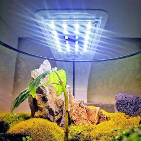 img 2 attached to Alltrust Super Aquarium Aquatic Lighting Fish & Aquatic Pets