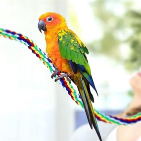 img 1 attached to 🐦 Weewooday 2-Piece Bird Rope Perches Climbing Bungee Toy Set - Comfortable Rope Perch Stand and Cage Accessories for Parrots, Parakeets, Cockatiels, and Conures