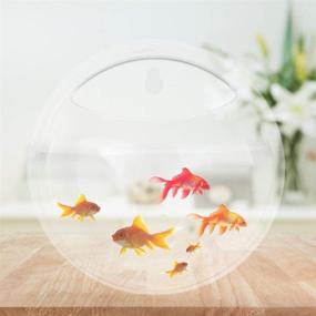 img 2 attached to 🐠 ACJRYO 2Pack Wall Hanging Fish Tank: Stylish Betta Tank & Plant Vase for Home Decoration