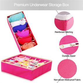 img 2 attached to 🎀 SITAKE 4-Pack Foldable Closet Underwear Organizer - Storage Boxes for Underwear, Bras, Socks, Ties, Belts, Tank Tops - Drawer Dresser Divider - Closet Organizers (Pink)