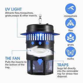 img 3 attached to 🪰 Mafiti Bug Zapper - Electric Insect Control for Fruit Flies, Mosquitoes, Gnats, Drain Flies - Kitchen Catcher for Indoor Home Use