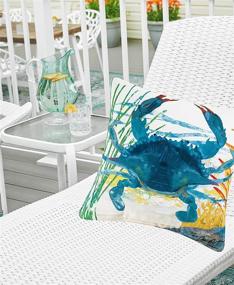 img 1 attached to Подушка C&F Home Blue Crab Coastal Premium для интерьера и экстерьера 18 x 18 - патио декор, декоративная подушка с дизайном голубого краба.