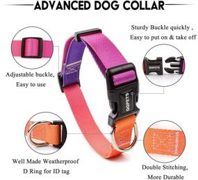 img 3 attached to QQPETS Nylon Multicolor Adjustable Collar