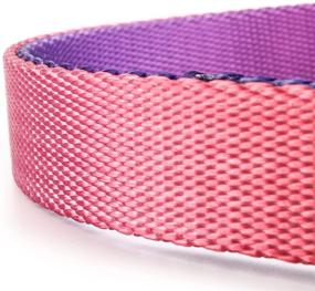 img 1 attached to QQPETS Nylon Multicolor Adjustable Collar