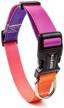 qqpets nylon multicolor adjustable collar logo